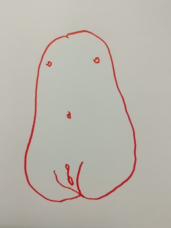 f:id:adgjm555:20190306095255j:plain f:id:adgjm555:20190306095255j:plain