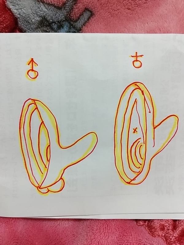 f:id:adgjm555:20190401095352j:plain f:id:adgjm555:20190401095352j:plain