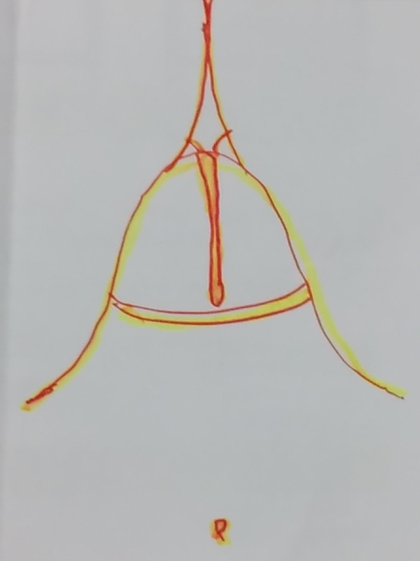 f:id:adgjm555:20190401101735j:plain f:id:adgjm555:20190401101735j:plain
