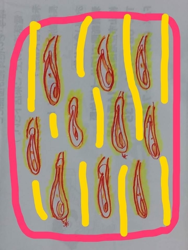 f:id:adgjm555:20190401162839j:plain f:id:adgjm555:20190401162839j:plain