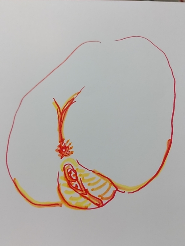 f:id:adgjm555:20190809114056j:plain f:id:adgjm555:20190809114056j:plain