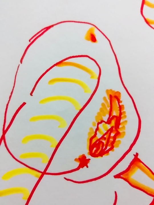 f:id:adgjm555:20190818142859j:plain f:id:adgjm555:20190818142859j:plain