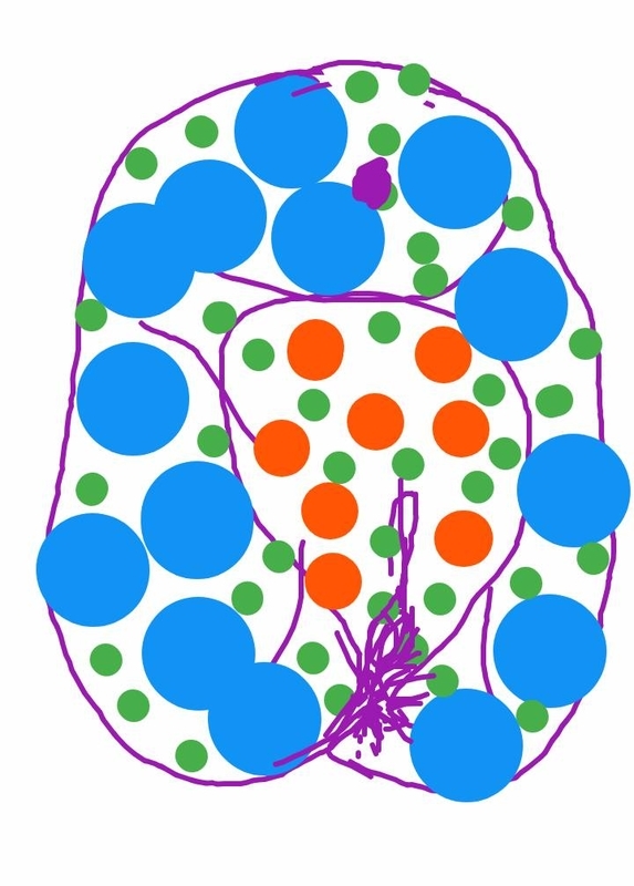 f:id:adgjm555:20190905124307j:plain f:id:adgjm555:20190905124307j:plain