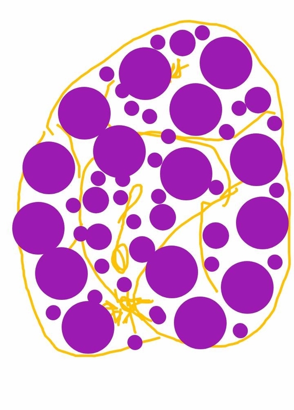 f:id:adgjm555:20190905144701j:plain f:id:adgjm555:20190905144701j:plain