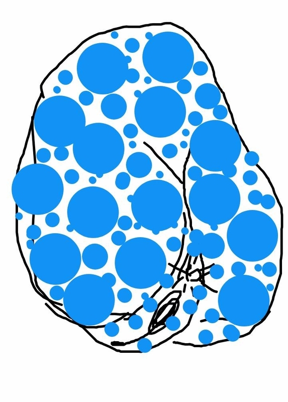 f:id:adgjm555:20190906190647j:plain f:id:adgjm555:20190906190647j:plain