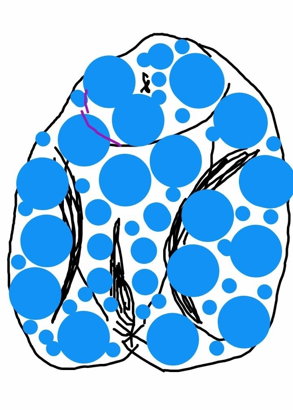 f:id:adgjm555:20190906190649j:plain f:id:adgjm555:20190906190649j:plain