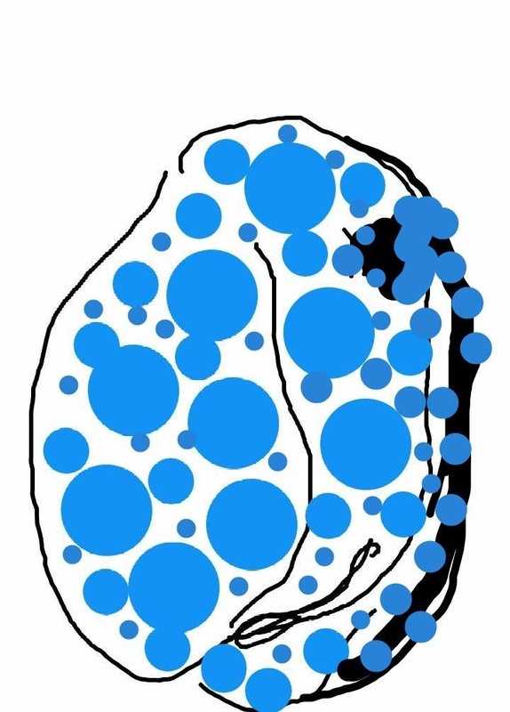 f:id:adgjm555:20190906190653j:plain f:id:adgjm555:20190906190653j:plain