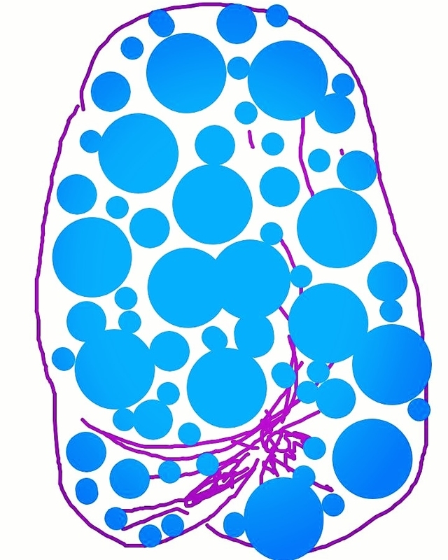 f:id:adgjm555:20190910181058j:plain f:id:adgjm555:20190910181058j:plain