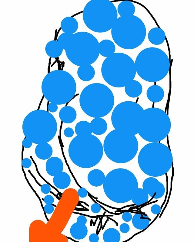 f:id:adgjm555:20190910211629j:plain f:id:adgjm555:20190910211629j:plain