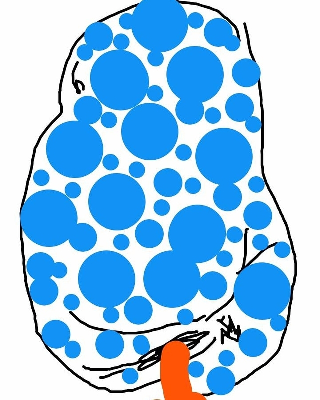 f:id:adgjm555:20190910211632j:plain f:id:adgjm555:20190910211632j:plain