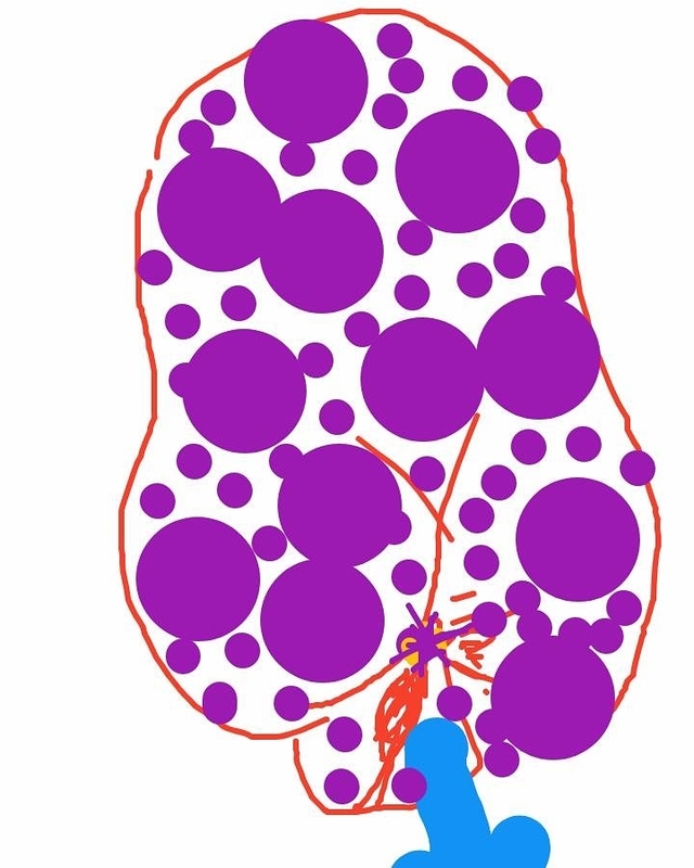f:id:adgjm555:20190910211635j:plain f:id:adgjm555:20190910211635j:plain