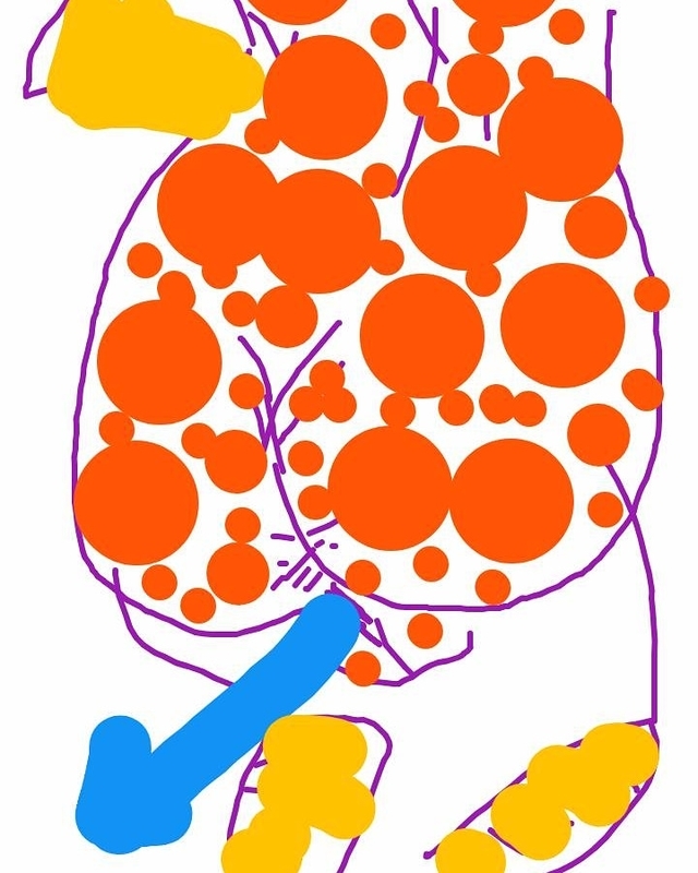 f:id:adgjm555:20190910211638j:plain f:id:adgjm555:20190910211638j:plain
