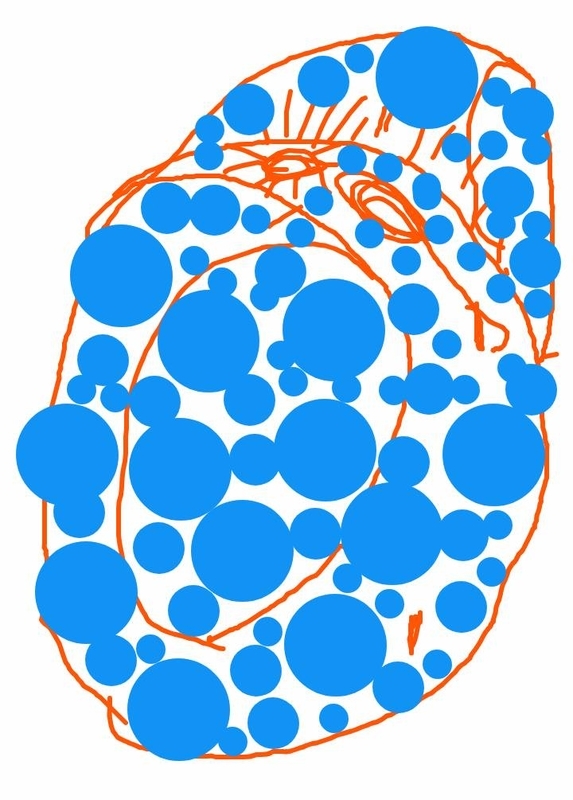 f:id:adgjm555:20191002223746j:plain f:id:adgjm555:20191002223746j:plain