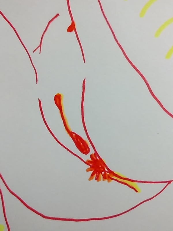 f:id:adgjm555:20191006222759j:plain f:id:adgjm555:20191006222759j:plain
