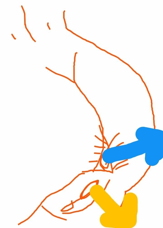 f:id:adgjm555:20191019112237j:plain f:id:adgjm555:20191019112237j:plain