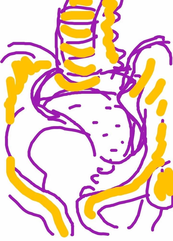 f:id:adgjm555:20191019112244j:plain f:id:adgjm555:20191019112244j:plain