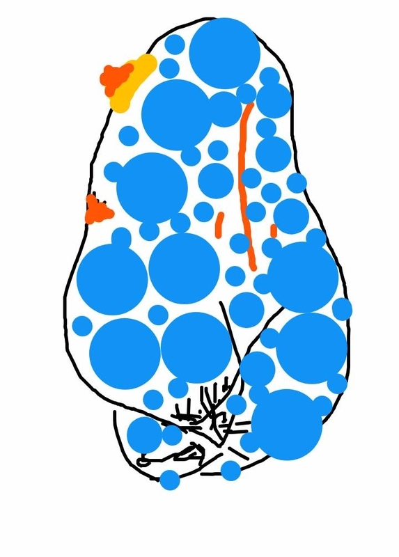 f:id:adgjm555:20191019112247j:plain f:id:adgjm555:20191019112247j:plain