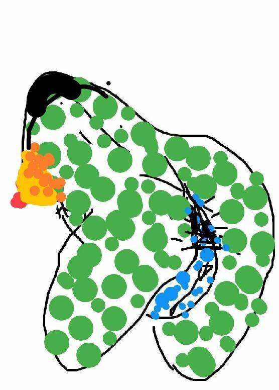 f:id:adgjm555:20191125173450j:plain f:id:adgjm555:20191125173450j:plain