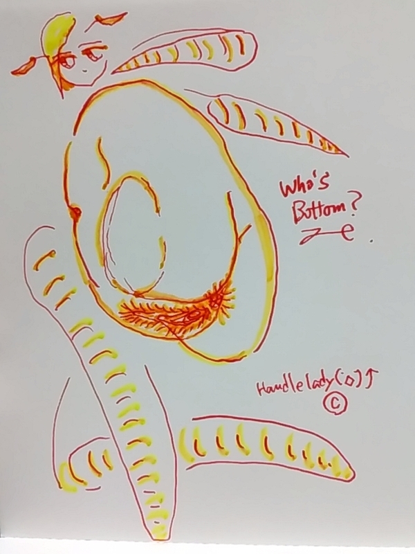 f:id:adgjm555:20191230194709j:plain f:id:adgjm555:20191230194709j:plain