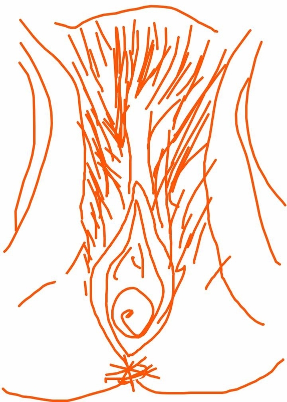 f:id:adgjm555:20200820085812j:plain f:id:adgjm555:20200820085812j:plain