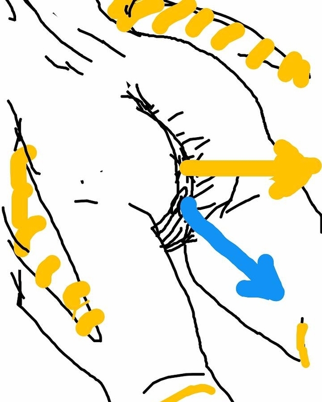 f:id:adgjm555:20200903110150j:plain f:id:adgjm555:20200903110150j:plain