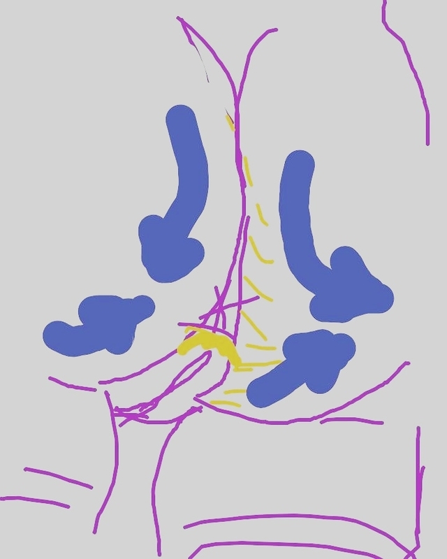 f:id:adgjm555:20200903110156j:plain f:id:adgjm555:20200903110156j:plain