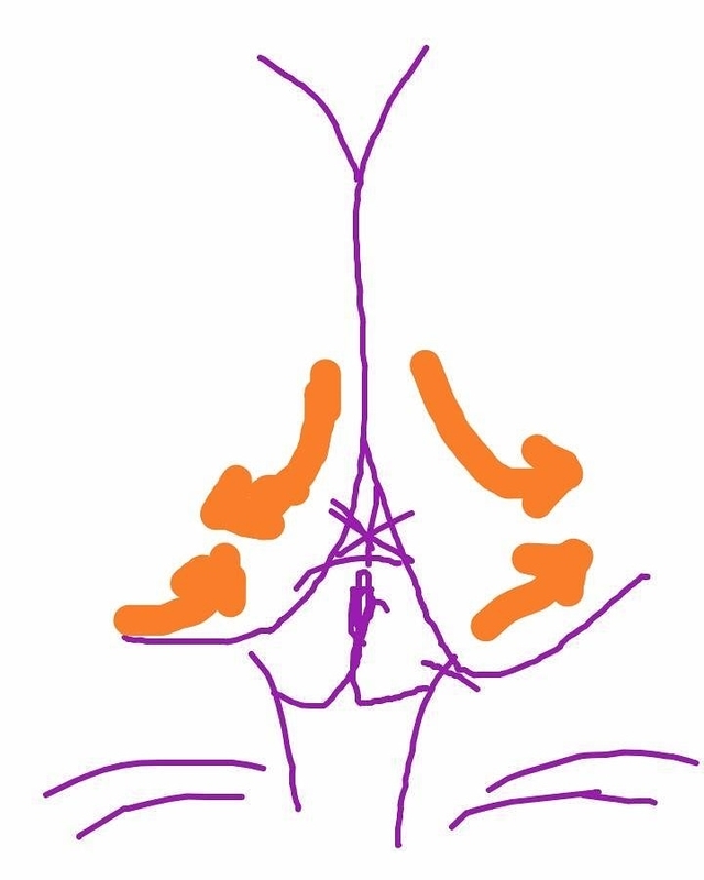 f:id:adgjm555:20200903110159j:plain f:id:adgjm555:20200903110159j:plain