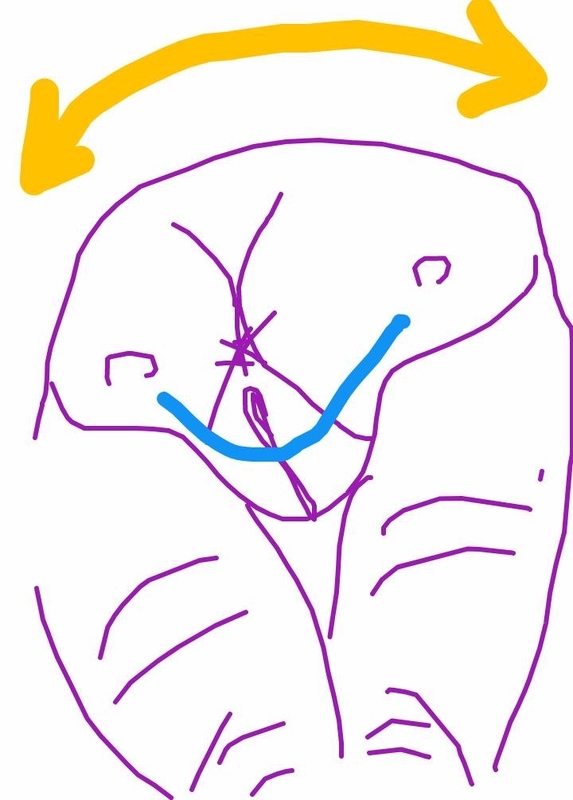 f:id:adgjm555:20200910224233j:plain f:id:adgjm555:20200910224233j:plain
