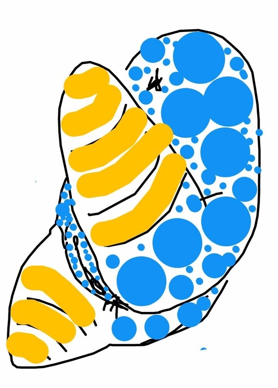 f:id:adgjm555:20201005114644j:plain f:id:adgjm555:20201005114644j:plain