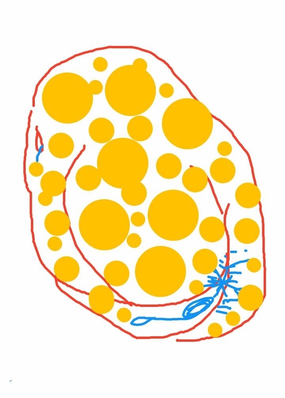 f:id:adgjm555:20201022093213j:plain f:id:adgjm555:20201022093213j:plain