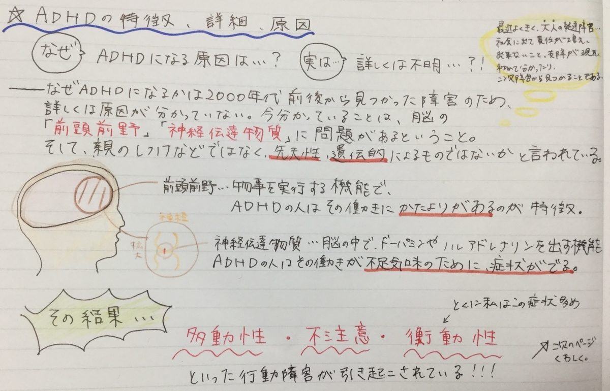 f:id:adhd_zinsei:20200724075617j:plain