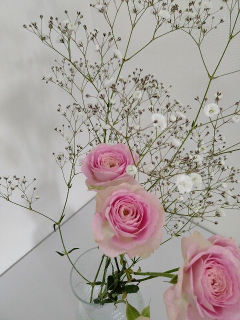 f:id:adhdpmdd:20220130073438j:image