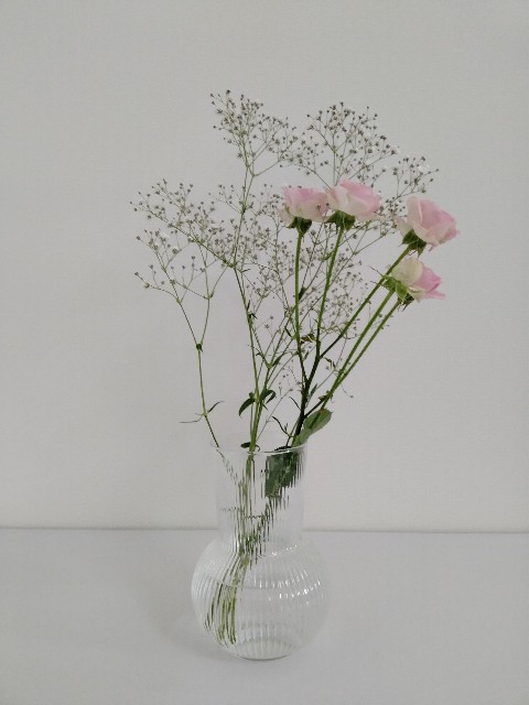 f:id:adhdpmdd:20220130073449j:image