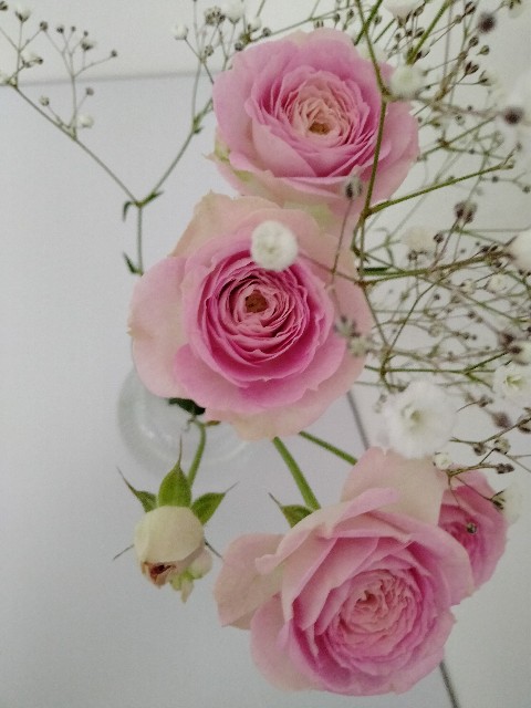 f:id:adhdpmdd:20220130073458j:image