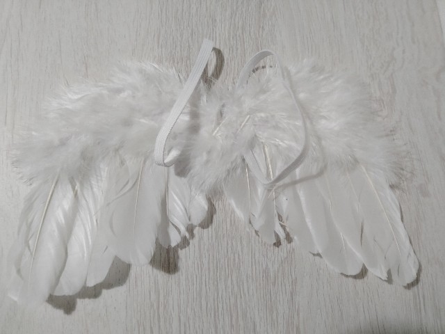 f:id:adhdpmdd:20230519195352j:image