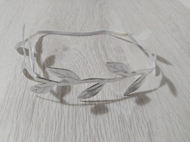 f:id:adhdpmdd:20230519195429j:image