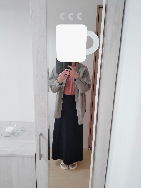 f:id:adhdpmdd:20241009160638j:image
