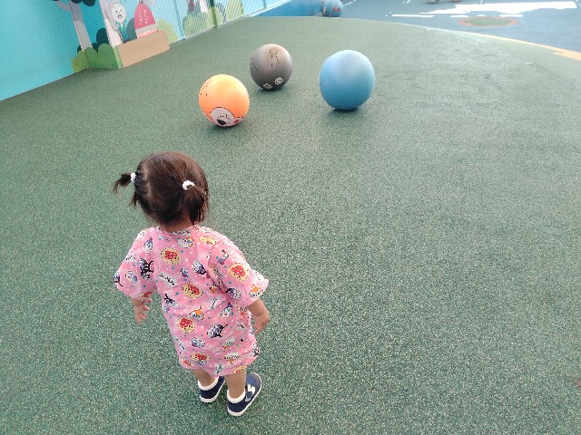 f:id:adhdpmdd:20241017162307j:image