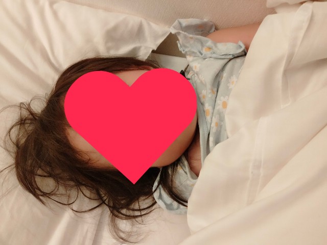 f:id:adhdpmdd:20241017162840j:image