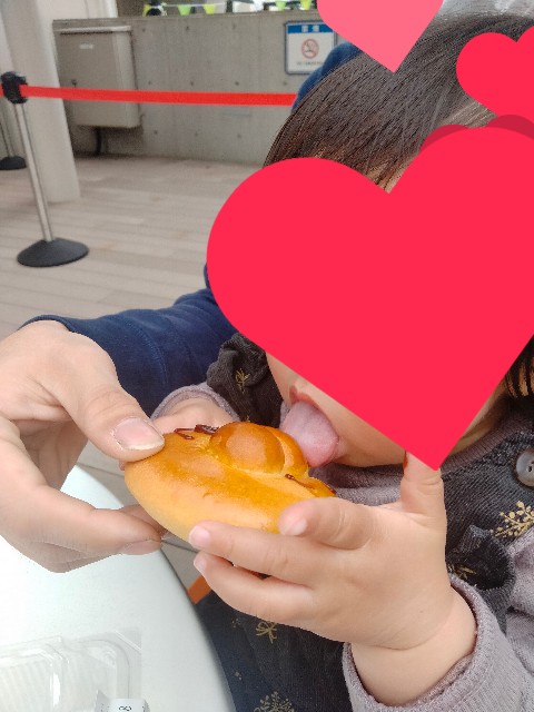 f:id:adhdpmdd:20241017170836j:image