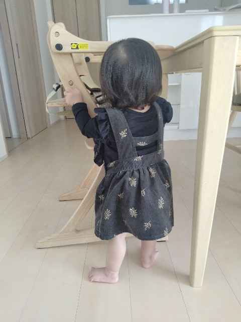 f:id:adhdpmdd:20241018134109j:image