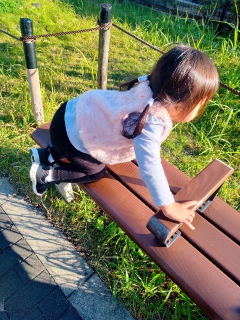 f:id:adhdpmdd:20241112071021j:image