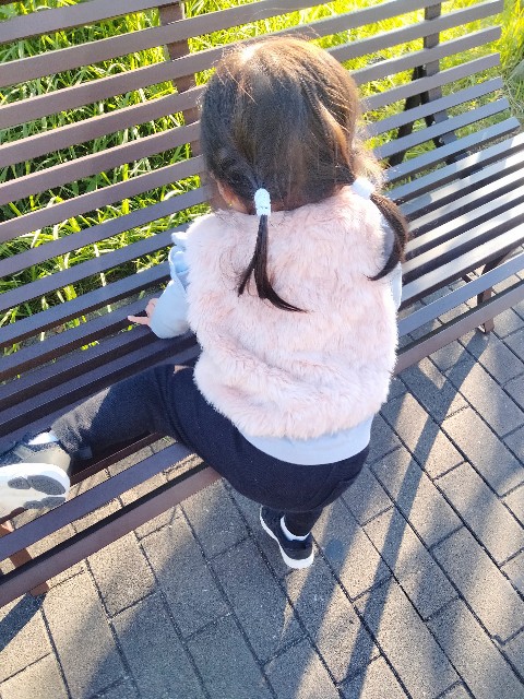 f:id:adhdpmdd:20241112071033j:image