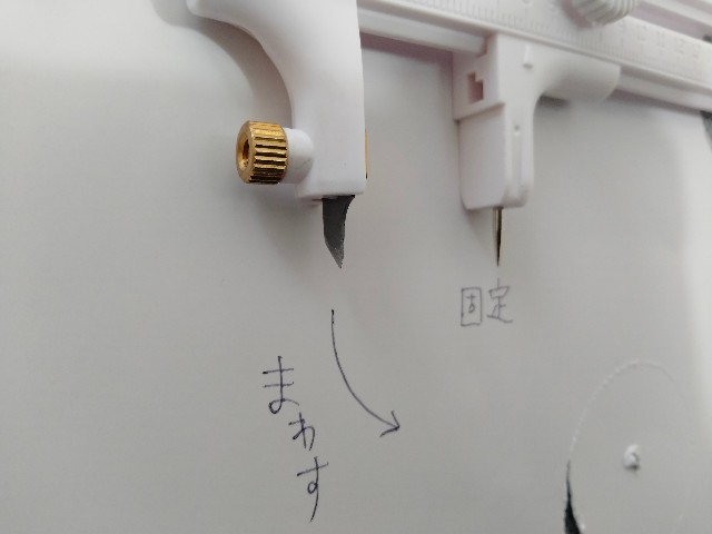 f:id:adhdpmdd:20241204111419j:image