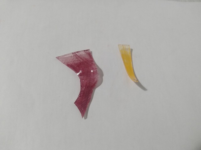 f:id:adhdpmdd:20241210060046j:image