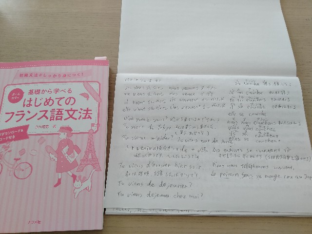 f:id:adhdpmdd:20250331111724j:image