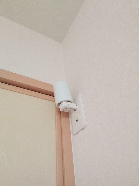 f:id:adhdpmdd:20250513115932j:image f:id:adhdpmdd:20250513115932j:image