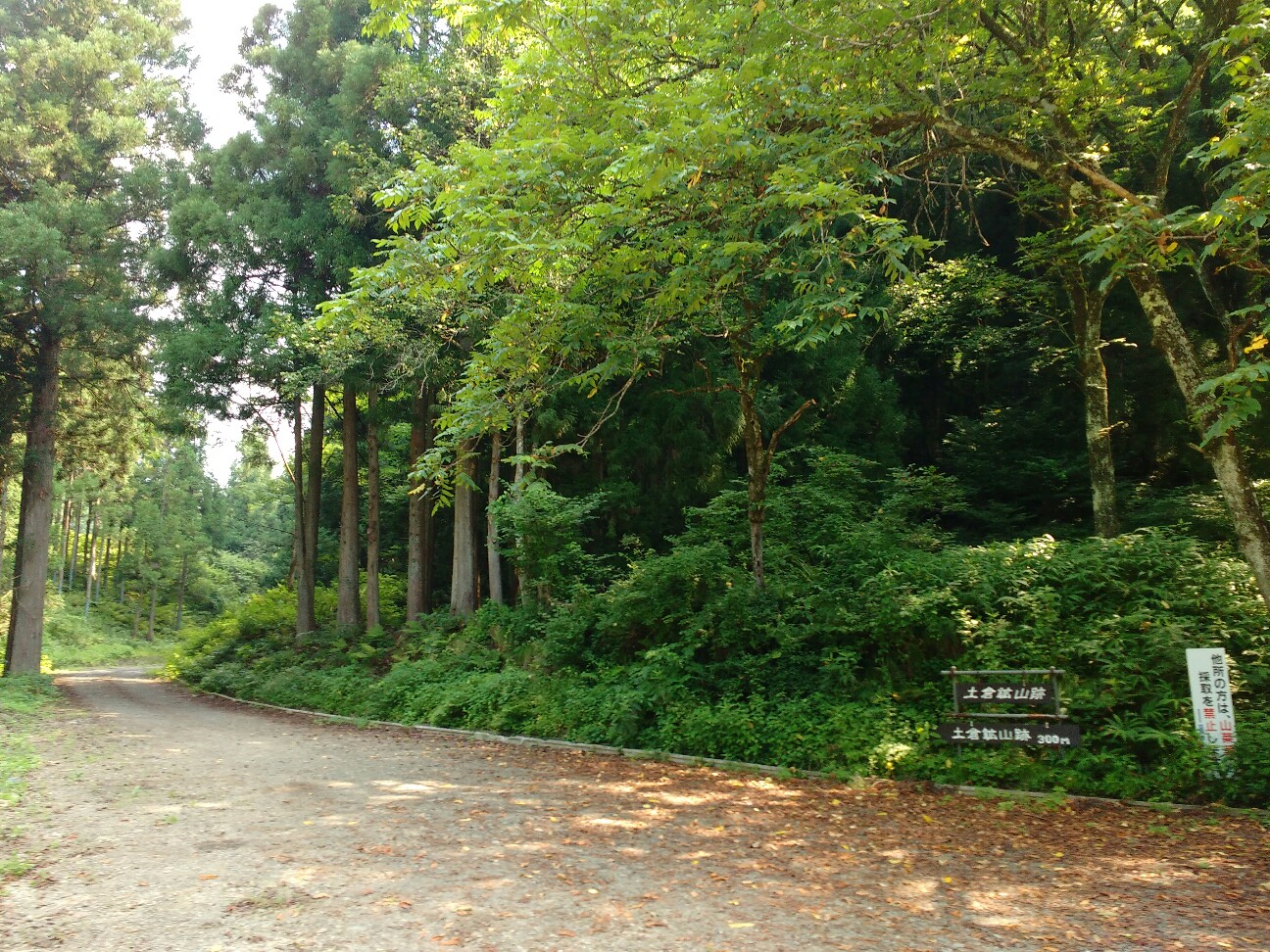 f:id:adiksan:20190806210317j:image f:id:adiksan:20190806210317j:image
