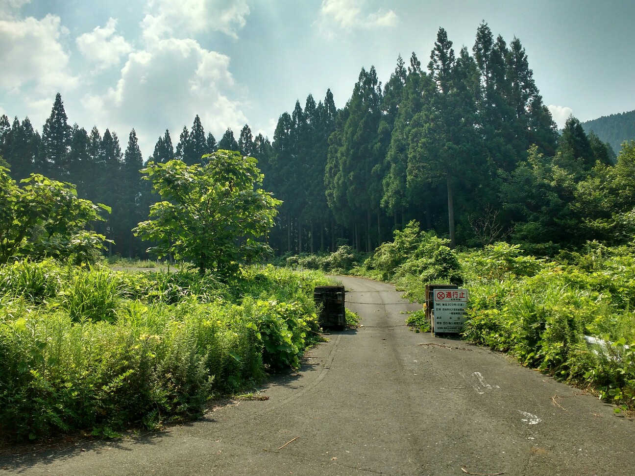 f:id:adiksan:20190806211516j:image f:id:adiksan:20190806211516j:image