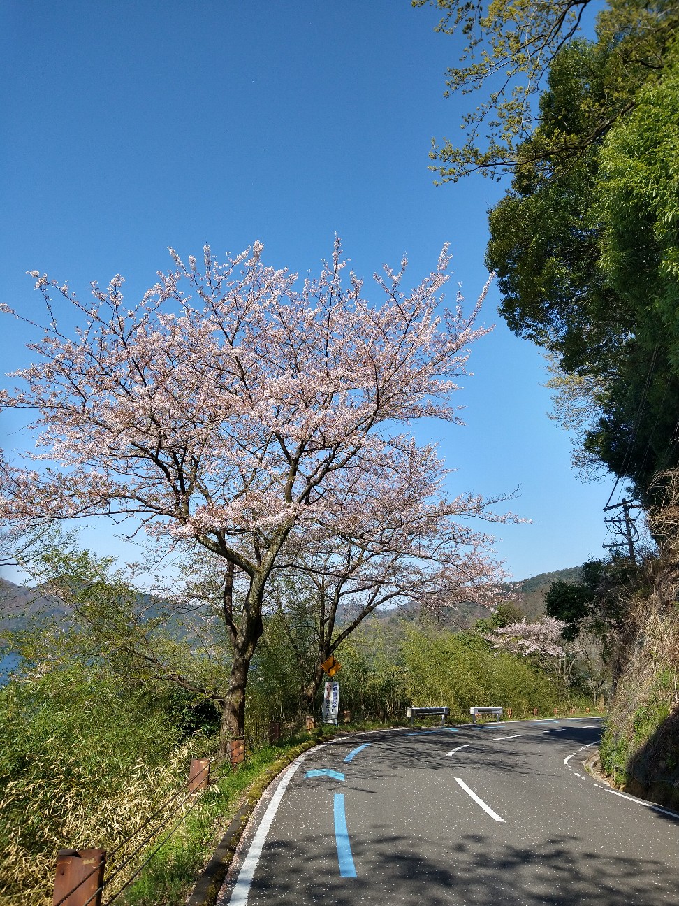 f:id:adiksan:20210423080227j:image f:id:adiksan:20210423080227j:image